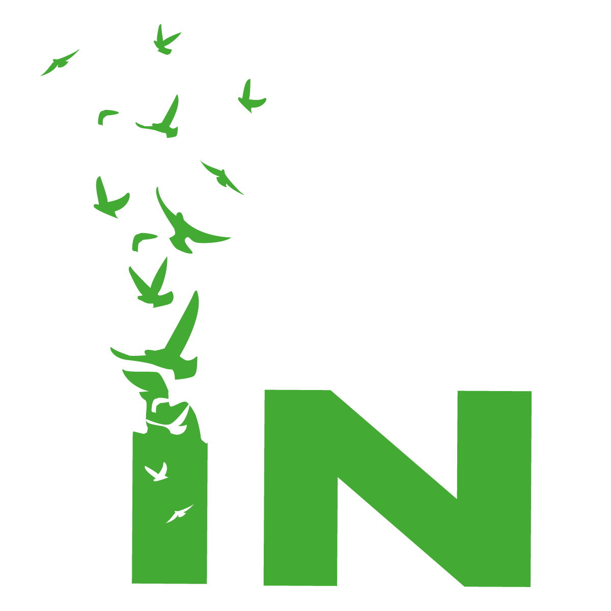Logo Infinance Logo